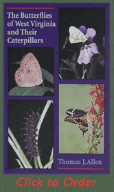 The Butterflies of West Virginia and Their Caterpillars