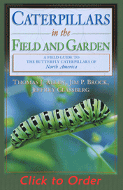 Caterpillars in the Field and Garden